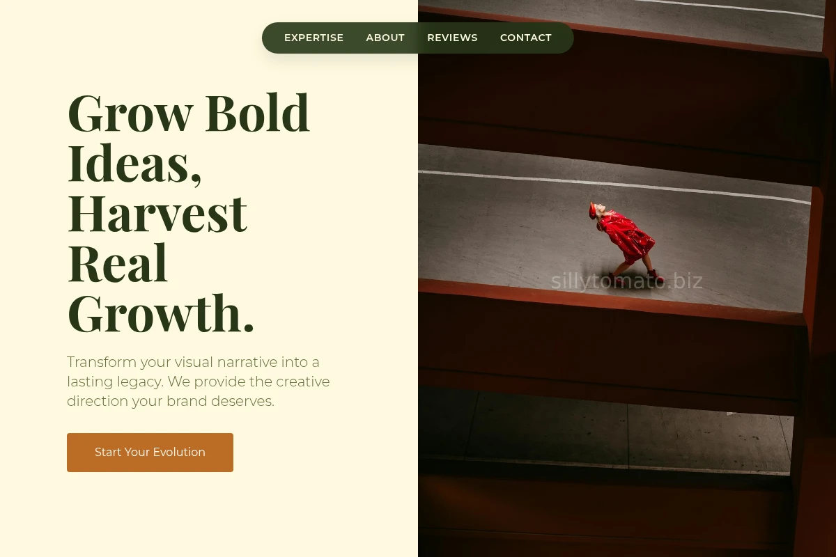 Seedling Creative Direction