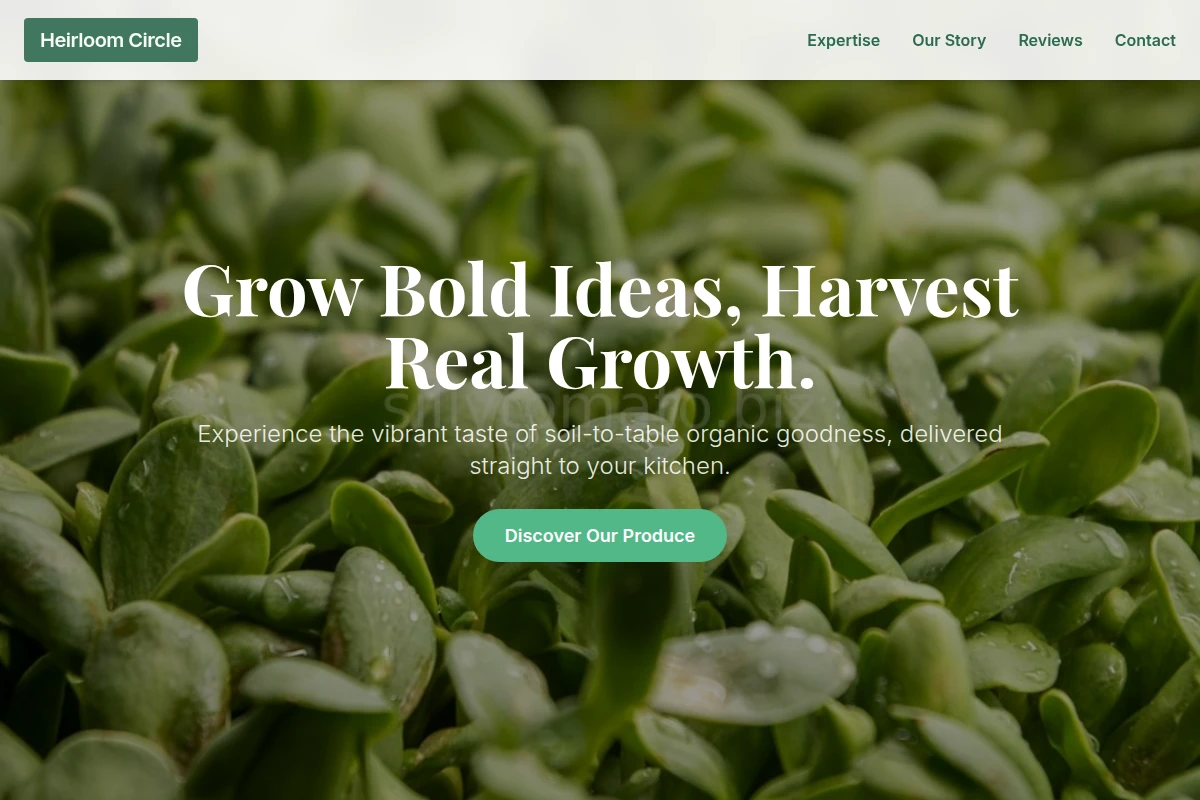 Stem Organic Food