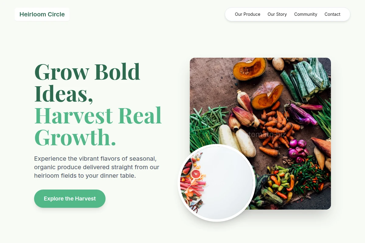 Tangy Organic Food