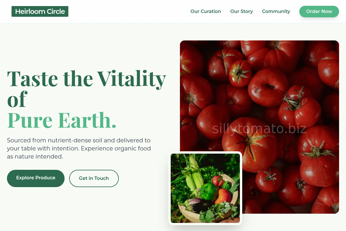 Studio Organic Food