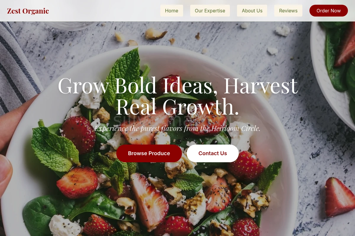 Zest Organic Food