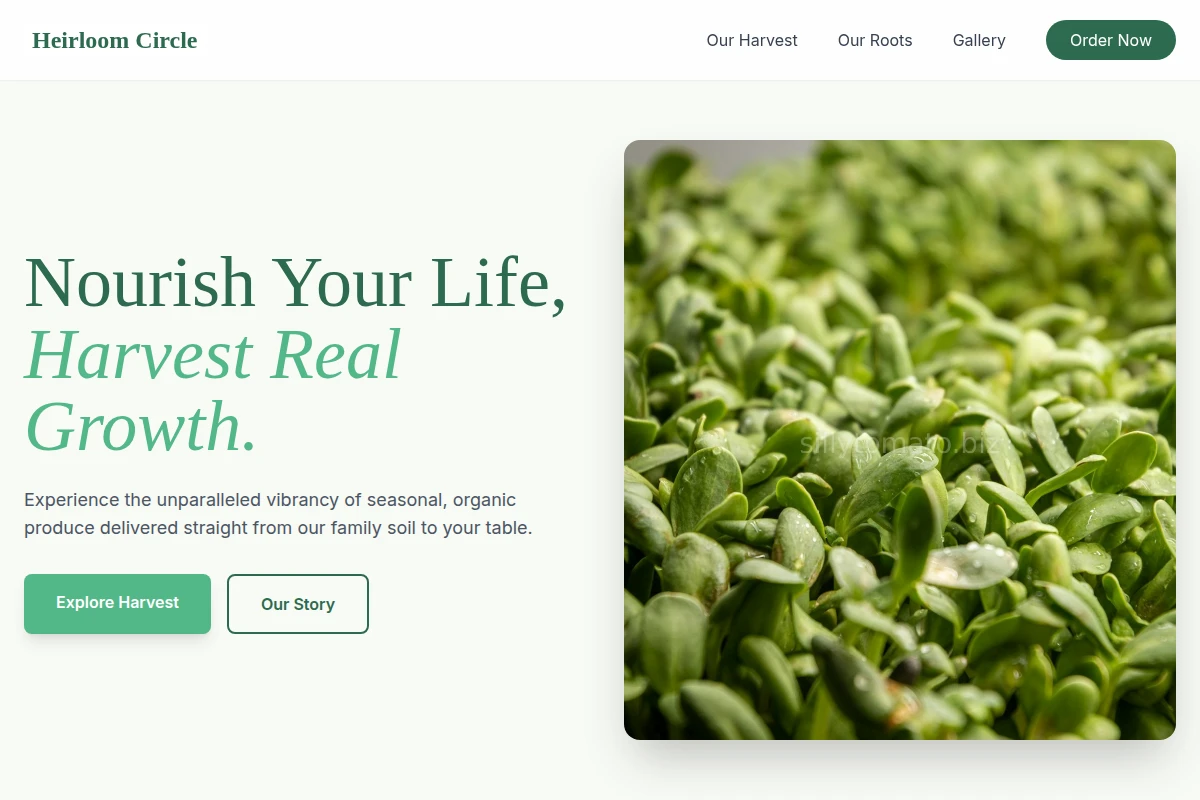Vibrant Organic Food