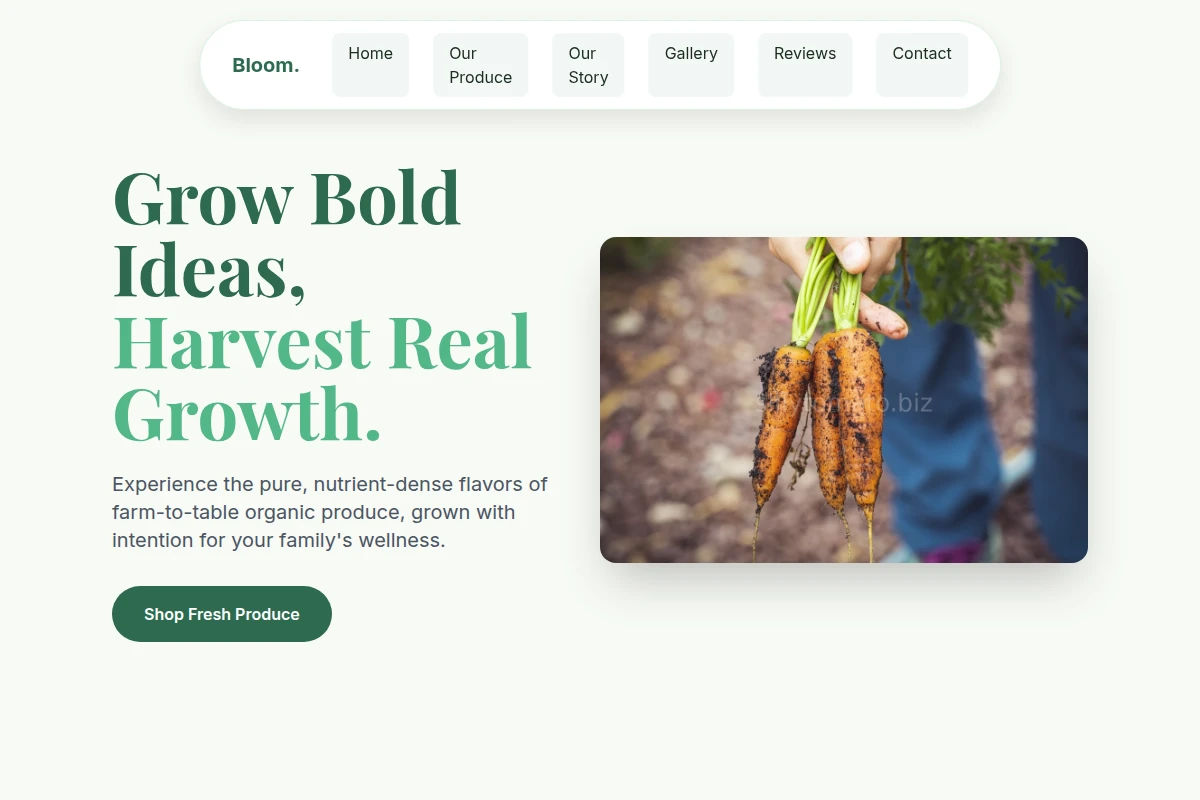 Bloom Organic Food