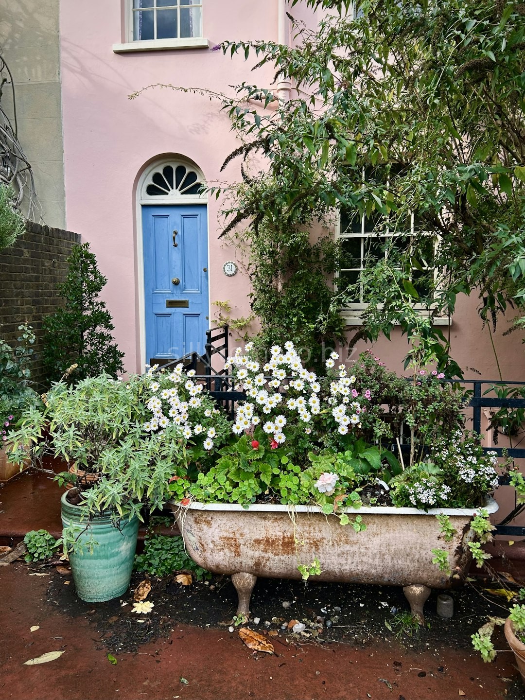 Beautiful Garden