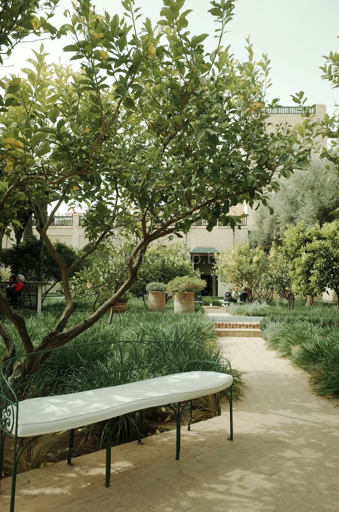 Hardscape Design