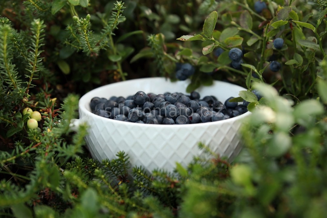 Nutritional Coaching